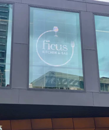 Ficus-Screen-1-Front